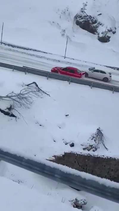 In its natural habitat 🔊