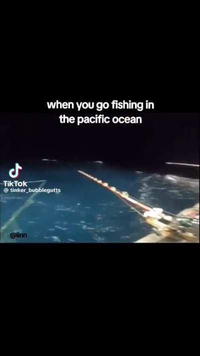 POV ( FISHES IN JAPAN IN WW2)