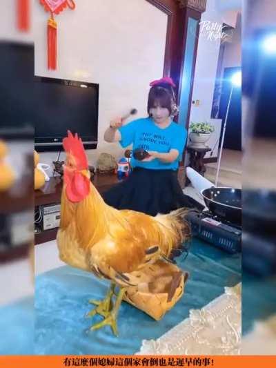 i don't even know what's happening