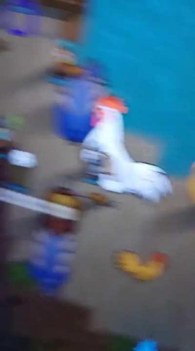 You can't be serious man