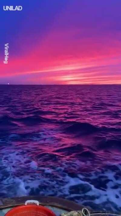 Outrun vibes on the water