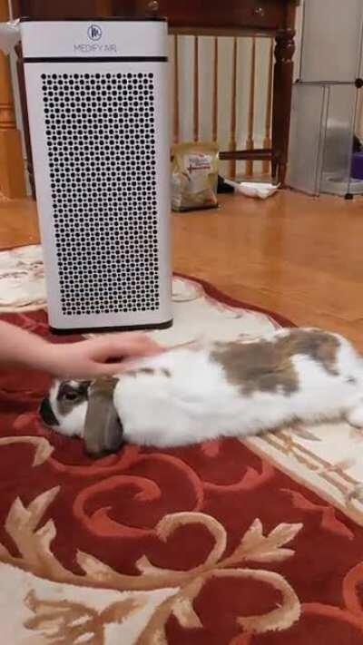 After Going Crazy For 30 Minutes