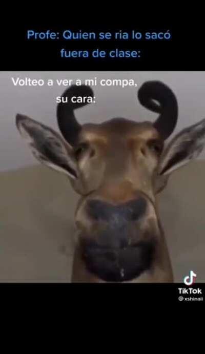 🤬🤬🖕Me hago en tus muertos Daniel🦦 suspendí biología por tu culpa🖕🤬🤬