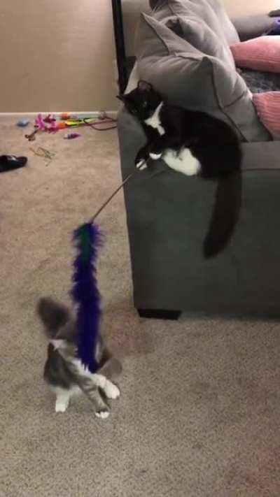 come here let's play