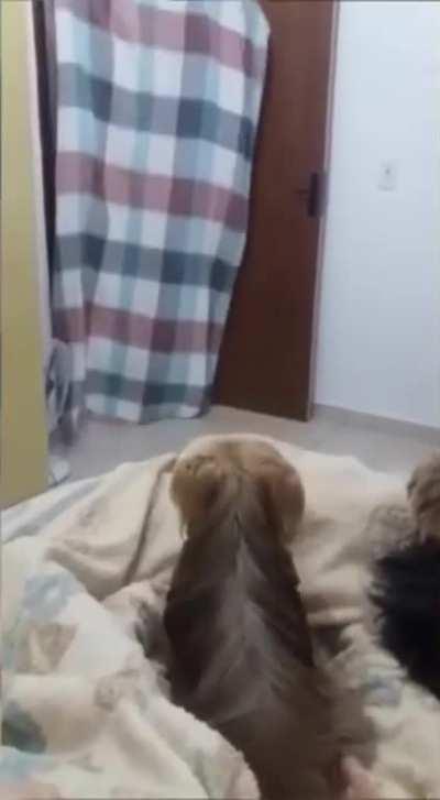 And they say wrestling is fake... smh