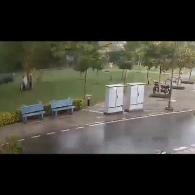 nature has amazing comedic timing