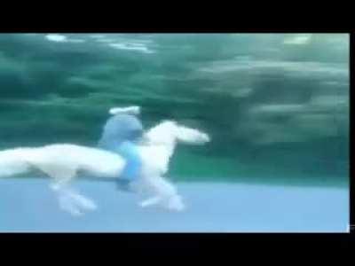 HP OfficeJet Pro 9015e