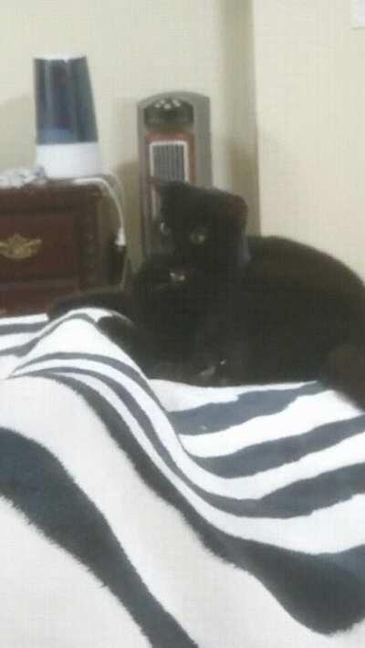 Gotta charge up the attack