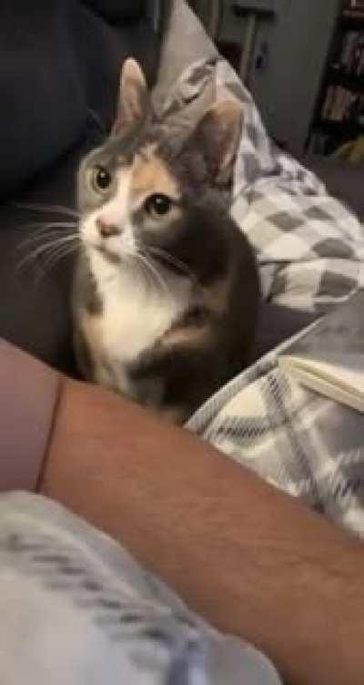 Excuse me, I need love!