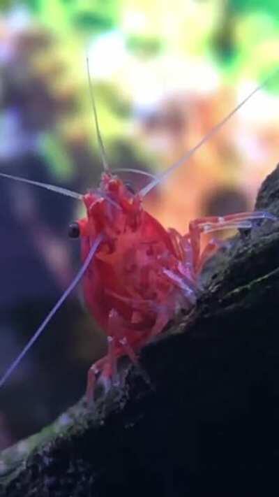 Her cute little whiskers 🥺