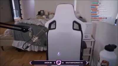 SIMPANZEE!!!!!!!!!!!!!!!!!!!!!!!