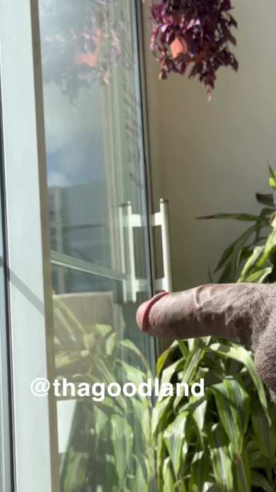 Get on your knees for a thick dick