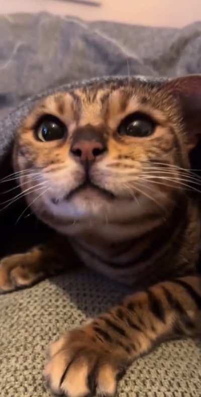 What is she trying to say 🙂