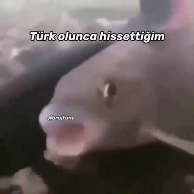 AAAAAAAAAAAAAAAAAAAAAAAAAA