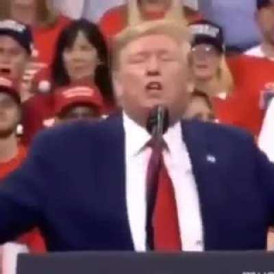 Sheikh Daniyal Bin Trump