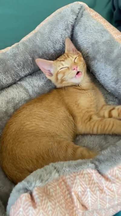 Who needs white noise?