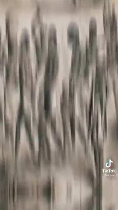 iLu que me harás si cruzo el océano?