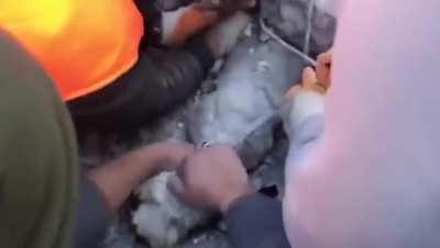 In the earthquake in Turkiye, the dog was rescued after 61 hours.