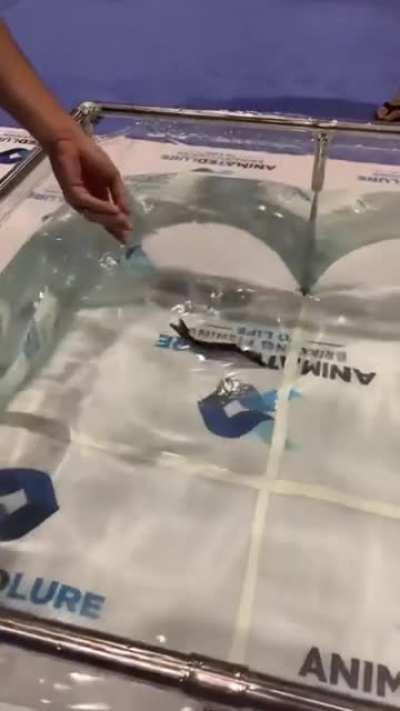 its a new highly realistic fishing lure ...i think soviet needs this