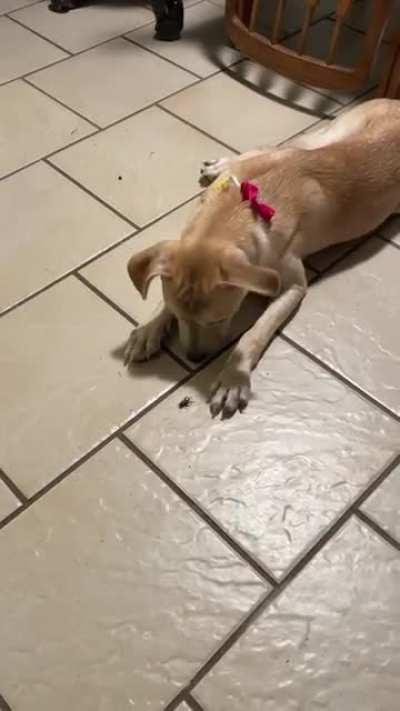 He is so smart, isn't he?