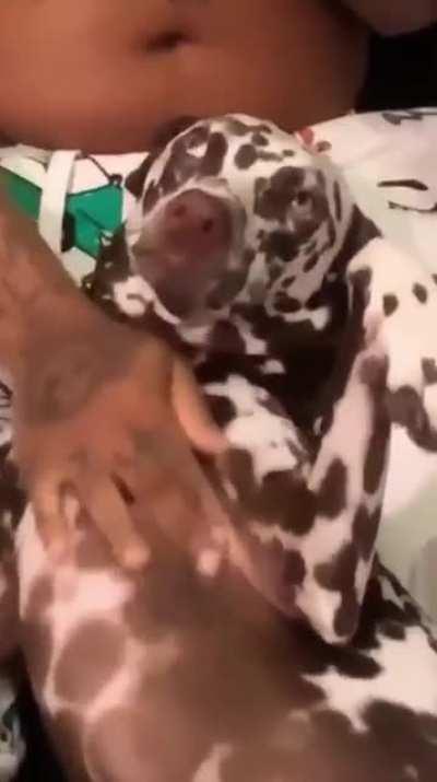 Rare clip your welcome;)