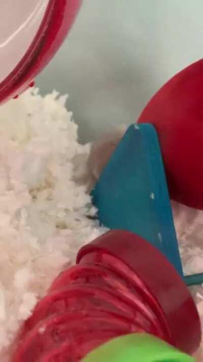 just adopted this special little girl with star gazing disorder