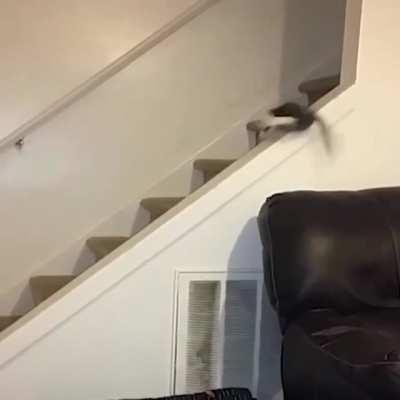 Explorer's Journal, Day Three: 