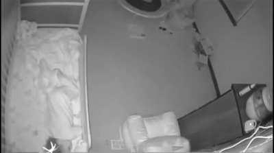 The spider had the ENTIRE ROOM...and it chose right there to spin down.