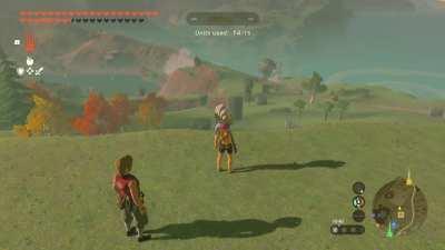 Now I'm wondering if it's possible to roll Link's house into the Akkala Chasm