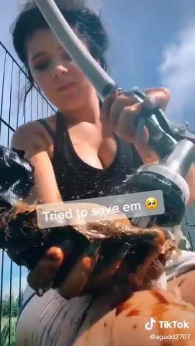 Putting ducks in oil for Tik Tok clout