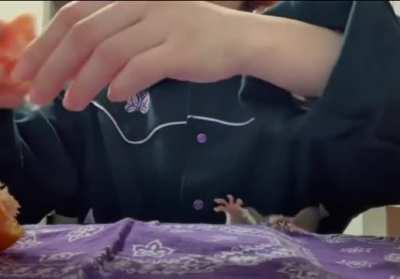 Time For Some Fresh Fruit.