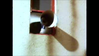 An important message from Captain Star