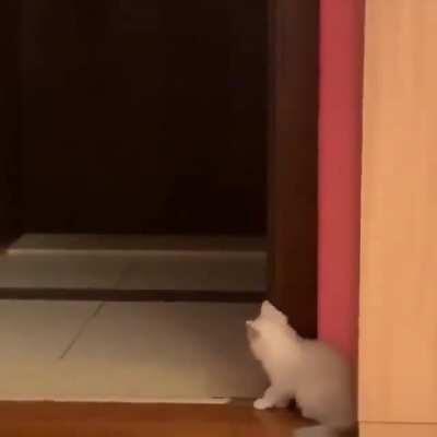 I can play pranks, can you?