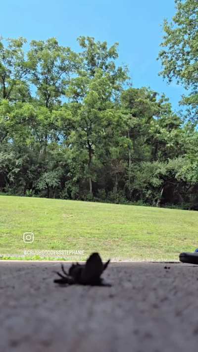 Some recent fun 😈🥰