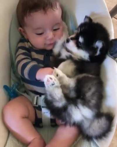 Having a break little ones.