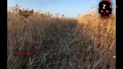 Ukrainian soldiers get caught under Russian artillery fire while crossing a field - luckely for them, they are able to crawl to safety by staying