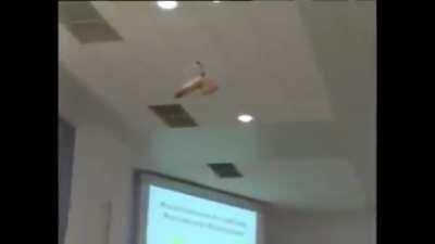 Prototype deployment on anti hornies successful