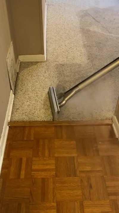 Thought we had to replace the carpet. Stanley Steemer FTW