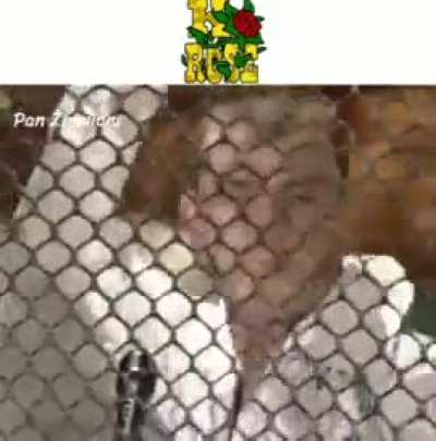 Stacje radiowe GTA wg Kiepskich