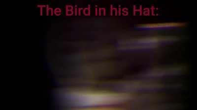 Dynamike Bird be like :