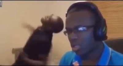 Found this on ig lol