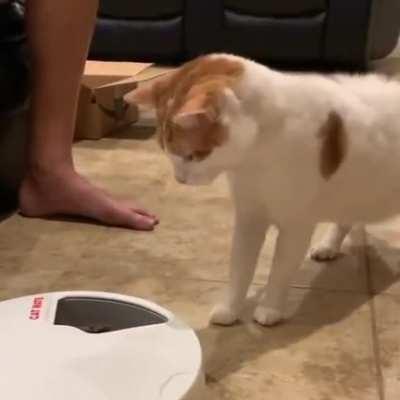 Automatic feeder