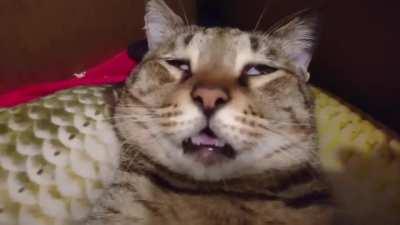 После тяжелого трудового дня...