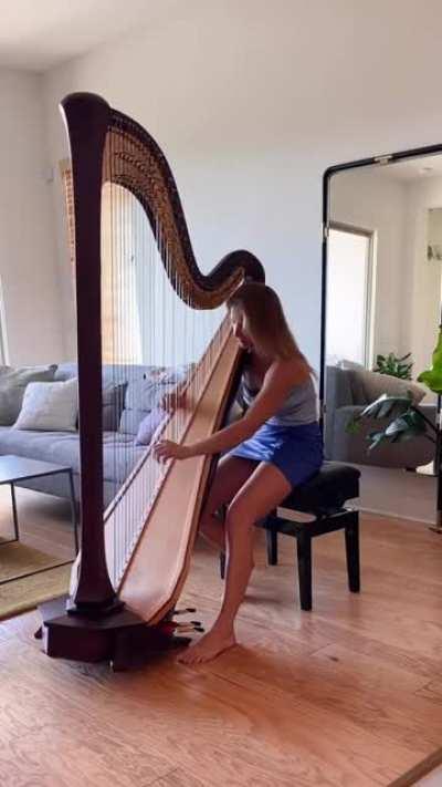 Covering Blue - EIffel 65 on a Harp