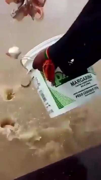 Two guys fishing for piranhas