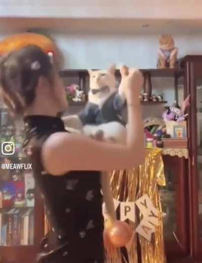 Wunkus is an amazing slow dancer.