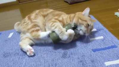 Can anyone make an aftermath of the cat opening the grenade.