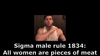 This inspired by the post u/ankan_routh made it's a sigma male meme hope you like it