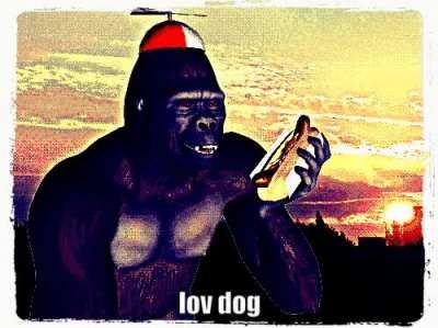 lov dog