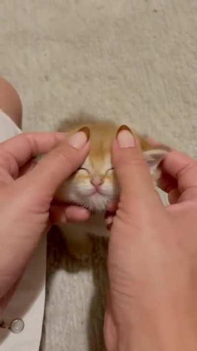 Right there, you’ve hit the spot